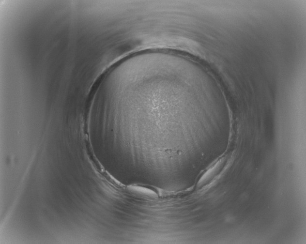 X0000068901505200605192147