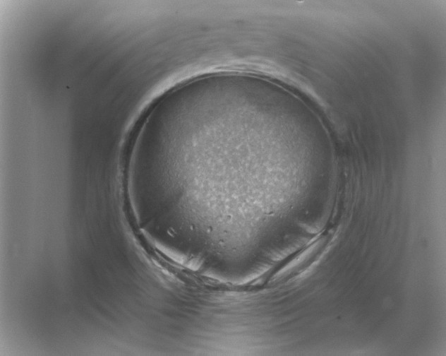 X0000068901506200605192147