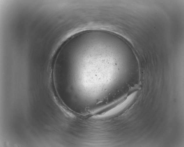 X0000068901507200605192147