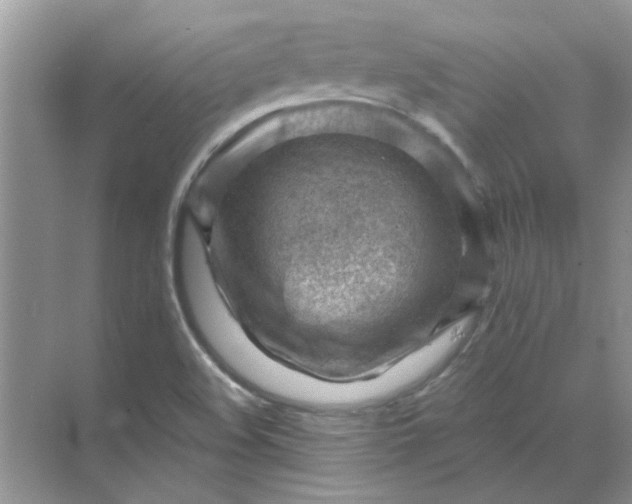 X0000068901508200605192147