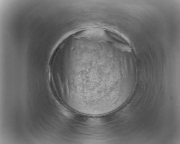 X0000068901509200605192147