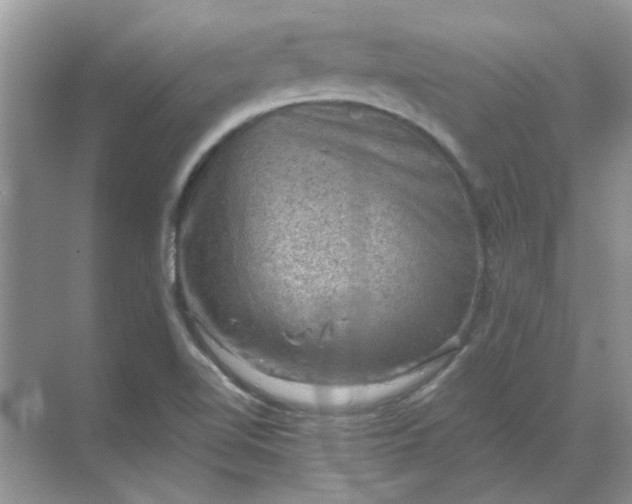 X0000068901510200605192147