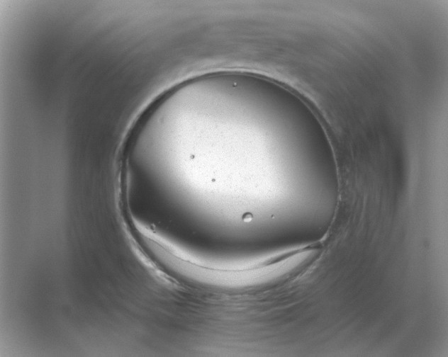 X0000068901511200605192147