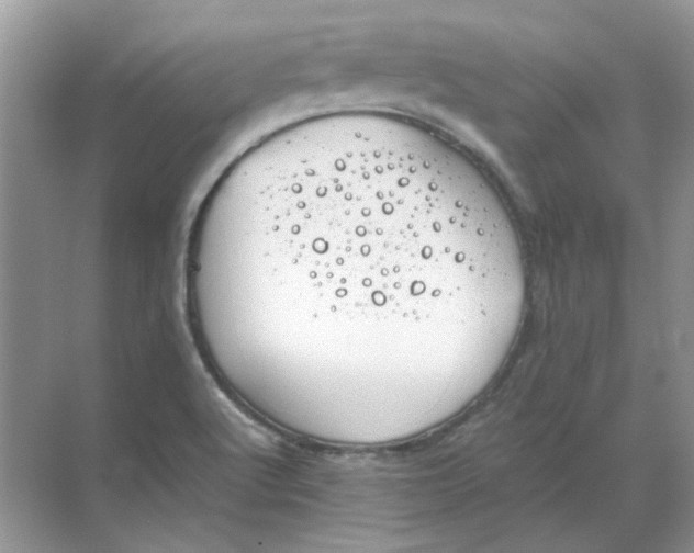 X0000068901512200605192147