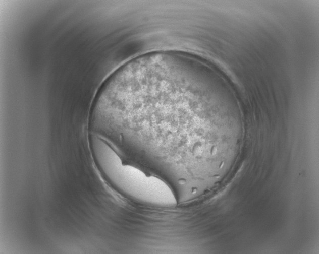 X0000068901513200605192147