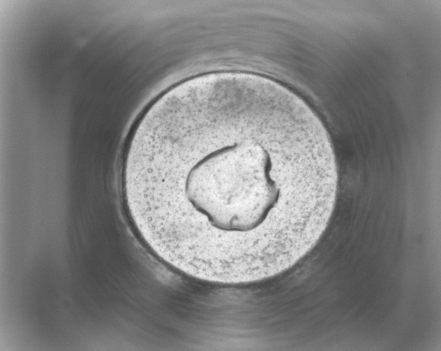 X0000068901514200605192147