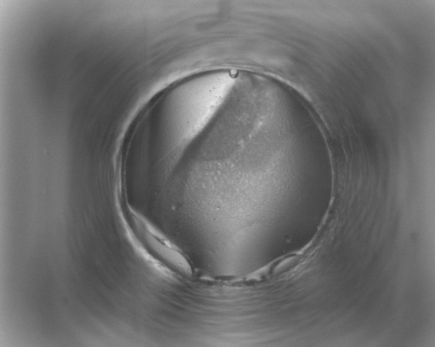 X0000068901515200605192147