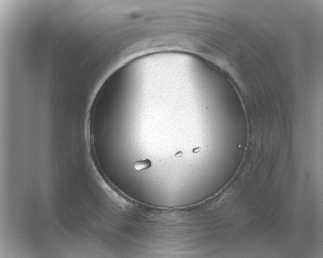 X0000068901516200605192147