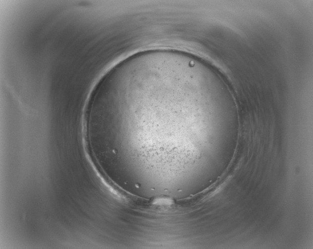 X0000068901517200605192147