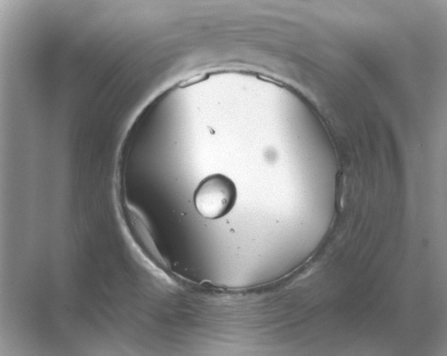 X0000068901518200605192147