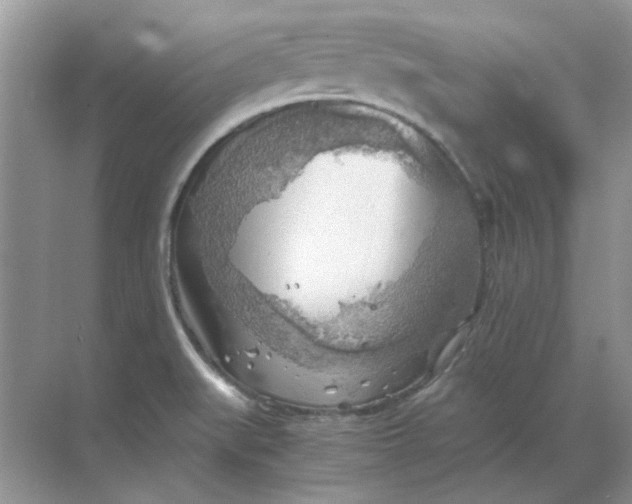 X0000068901519200605192147