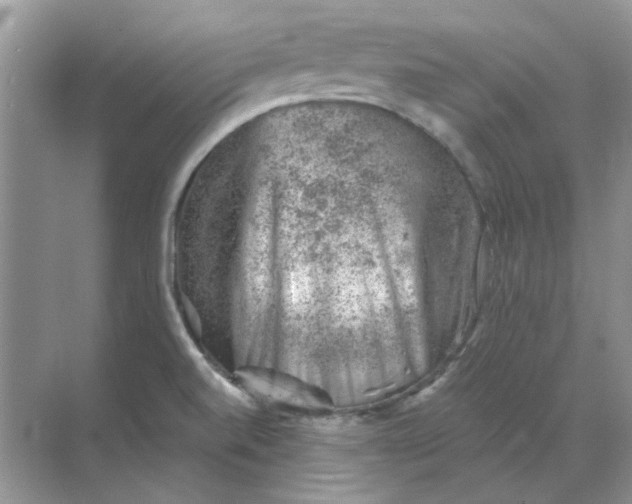 X0000068901520200605192147