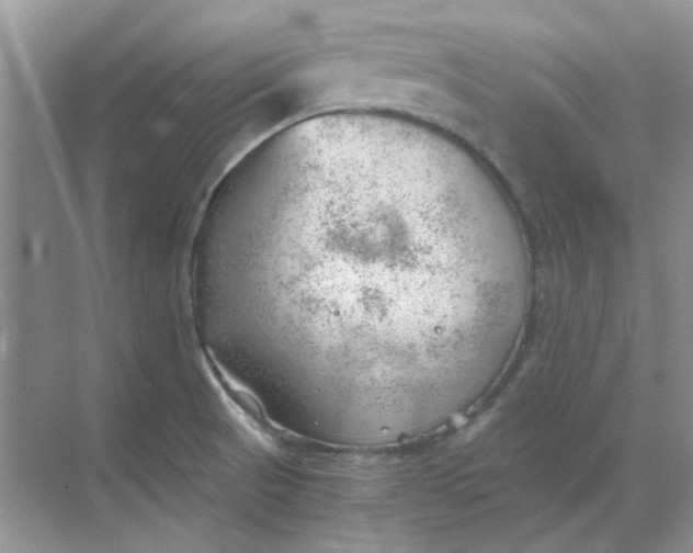 X0000068901521200605192147