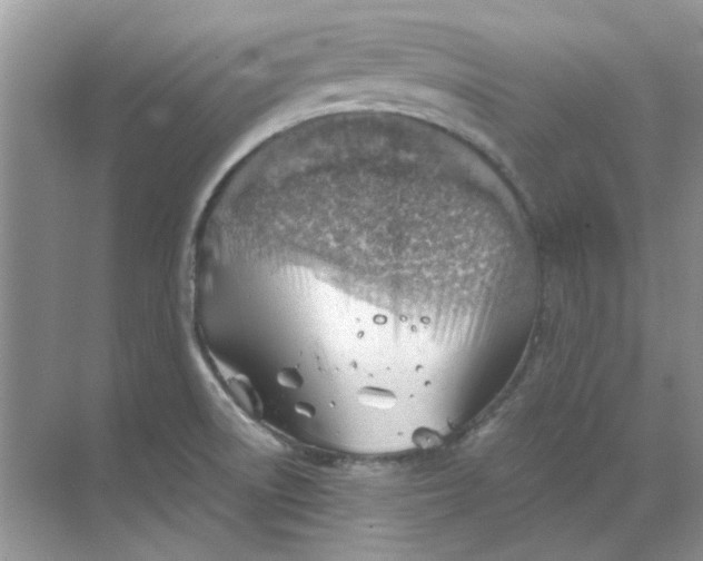 X0000068901522200605192147