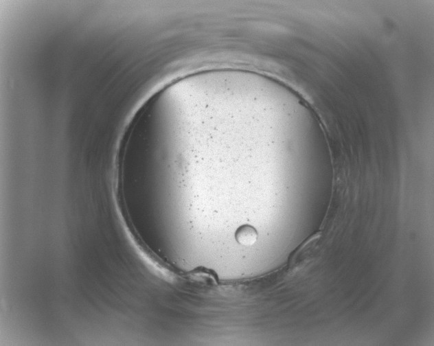 X0000068901523200605192147