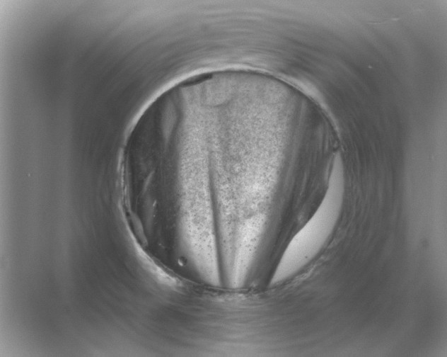 X0000068901524200605192147