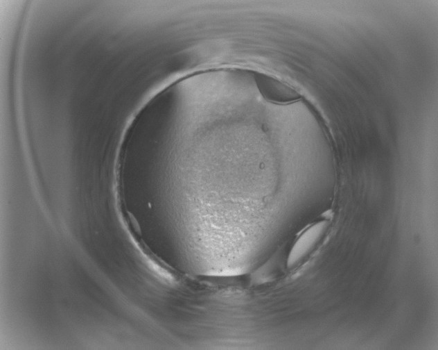 X0000068901525200605192148