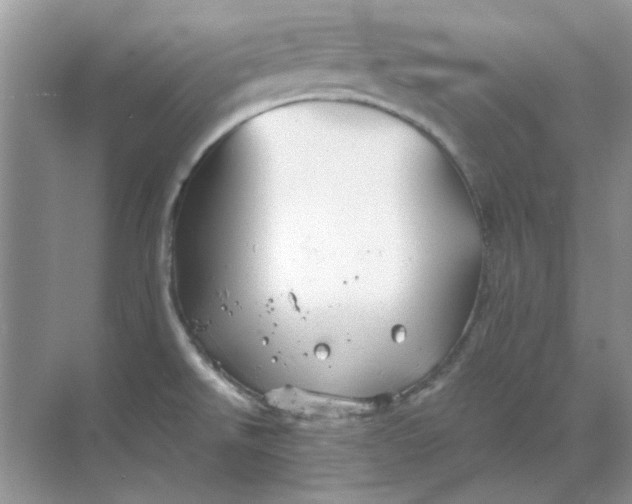 X0000068901526200605192148