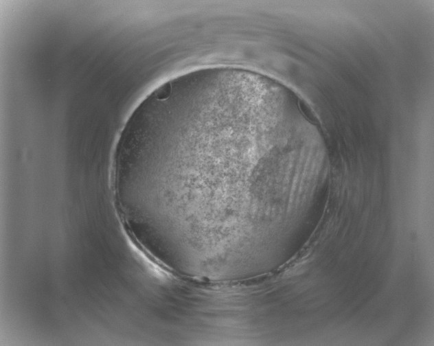 X0000068901527200605192148