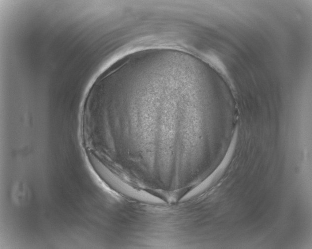 X0000068901528200605192148