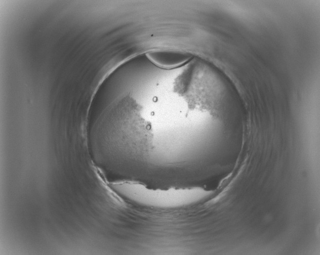 X0000068901529200605192148