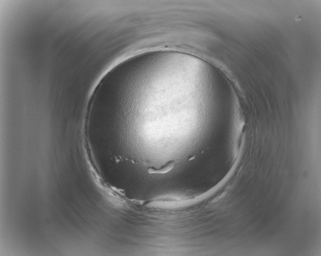 X0000068901530200605192148