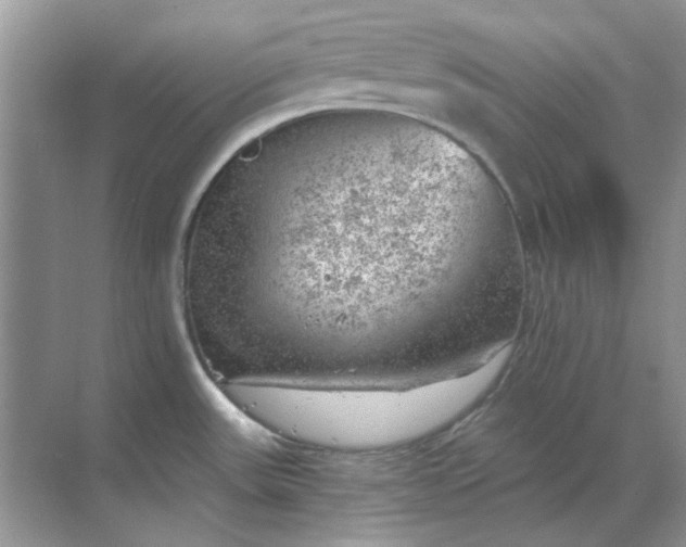 X0000068901531200605192148