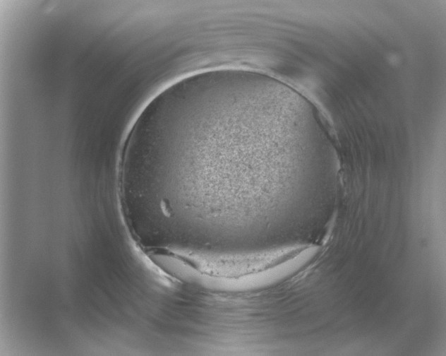 X0000068901532200605192148