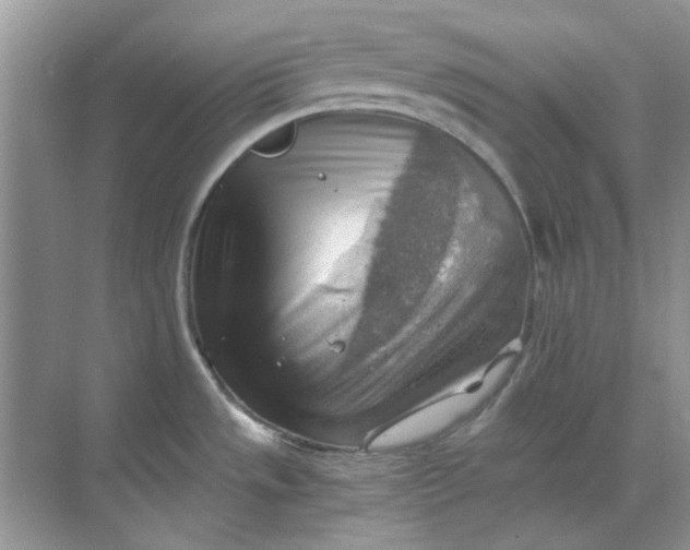 X0000068901533200605192148