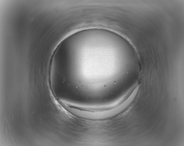 X0000068901534200605192148