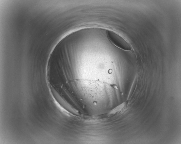 X0000068901535200605192148