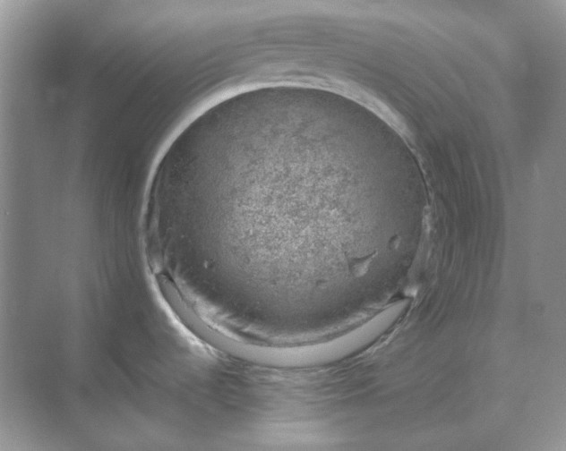 X0000068901536200605192148