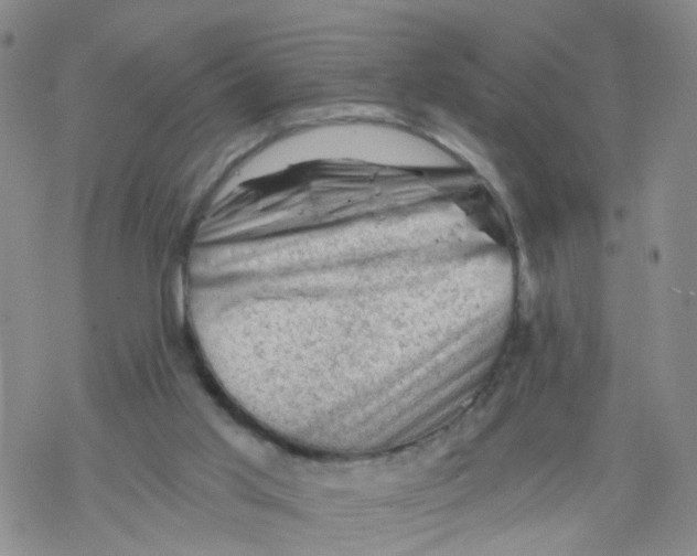 X0000068900013200605261922