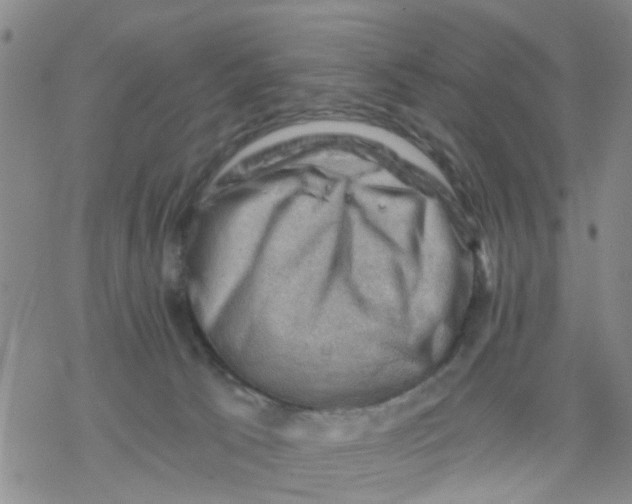 X0000068900033200605261922