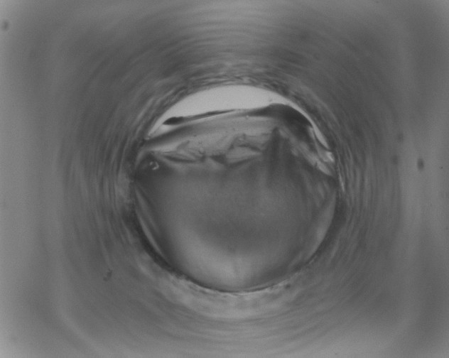 X0000068900035200605261922