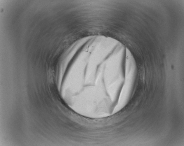X0000068900038200605261922