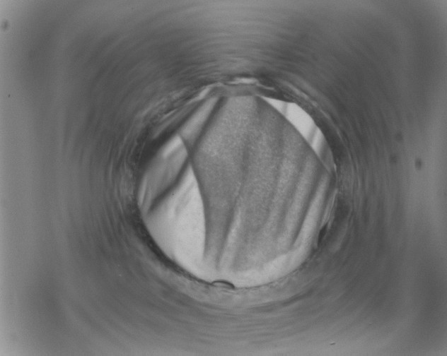 X0000068900043200605261922