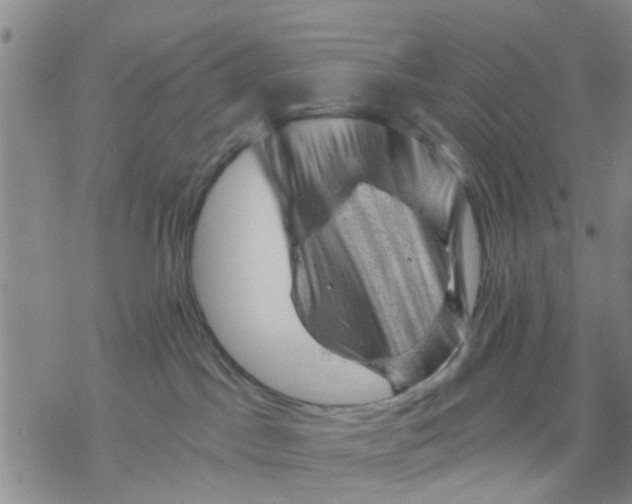 X0000068900045200605261922