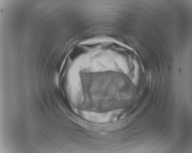 X0000068900046200605261922