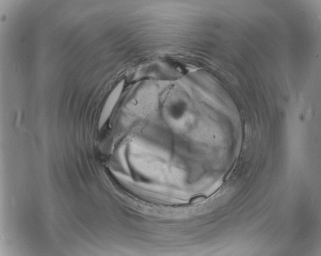 X0000068900048200605261922