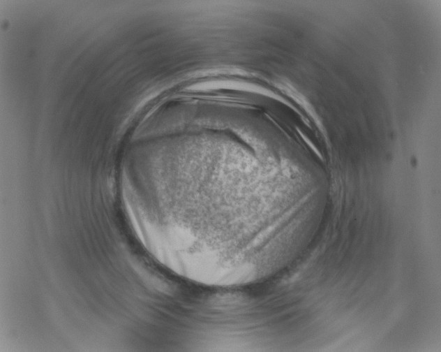 X0000068900063200605261921