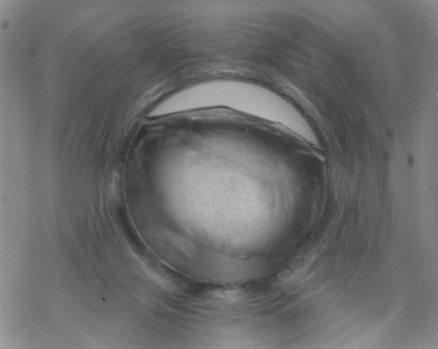 X0000068900071200605261921