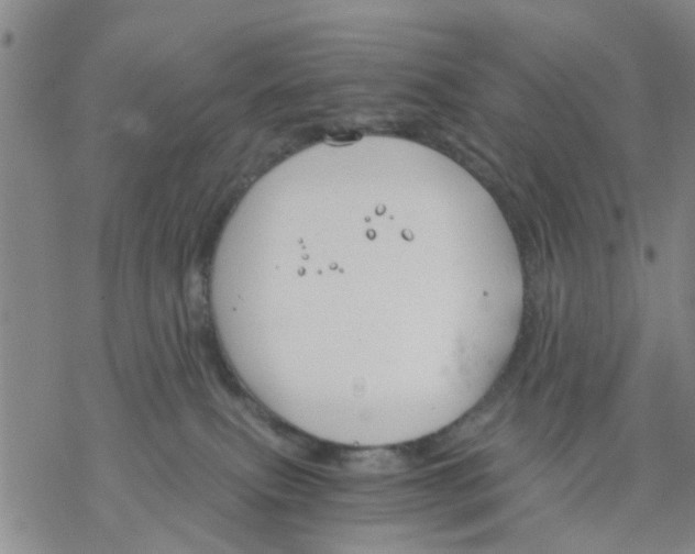 X0000068900087200605261921