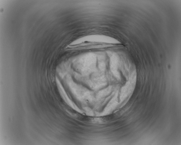 X0000068900091200605261921