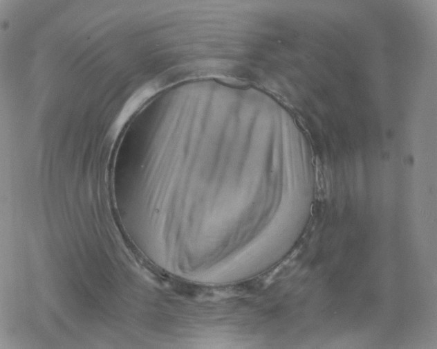 X0000068900099200605261921