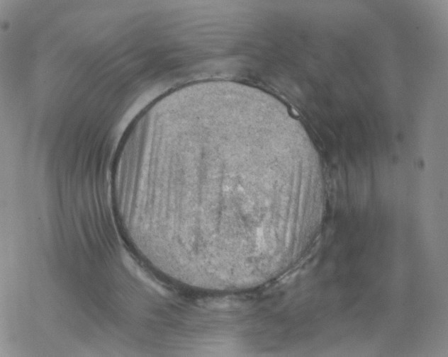 X0000068900100200605261921