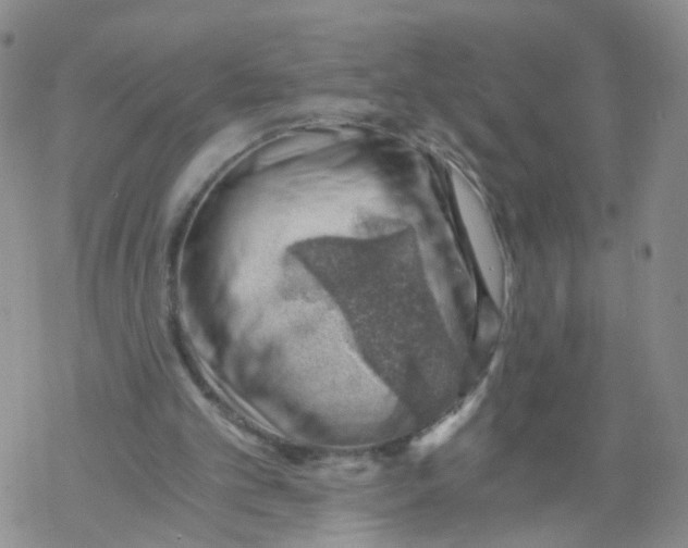 X0000068900101200605261921
