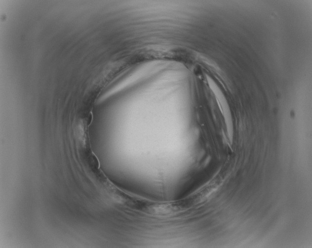 X0000068900121200605261920