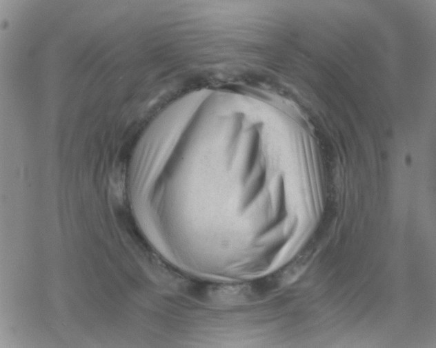 X0000068900129200605261920