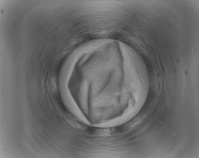 X0000068900131200605261920